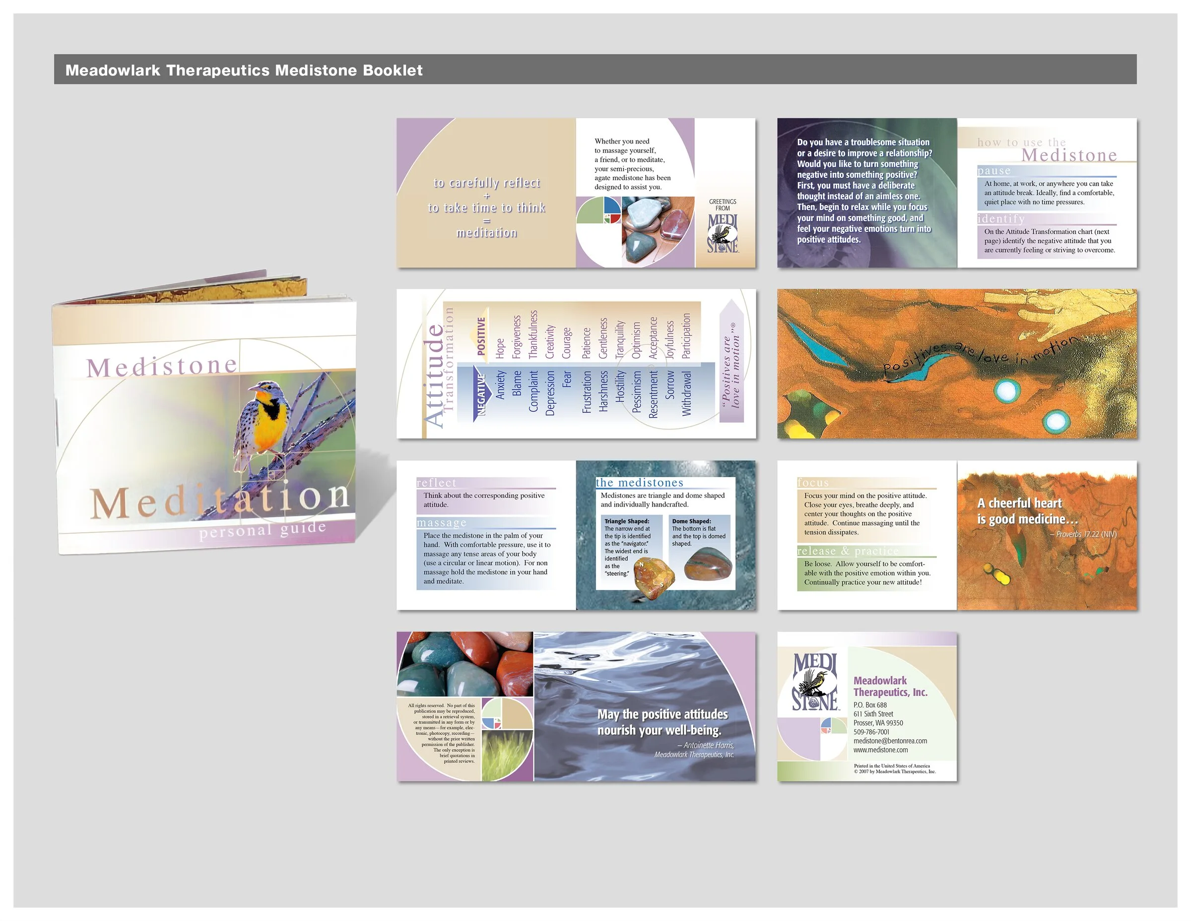 Meadowlark Therapeutics Medistone booklet
