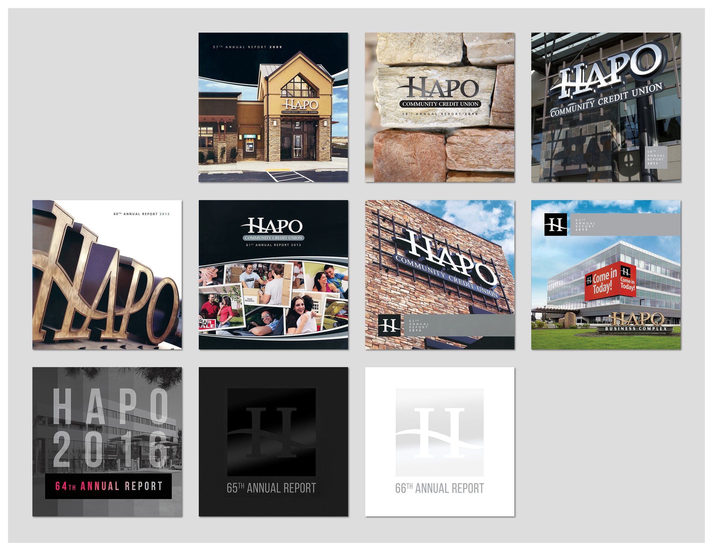 HAPO annual report covers